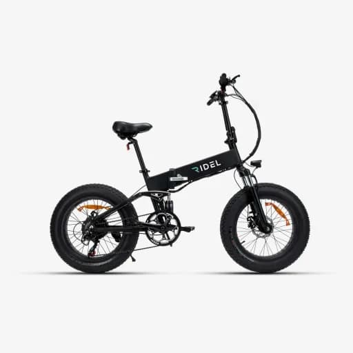 Ridel Tripster